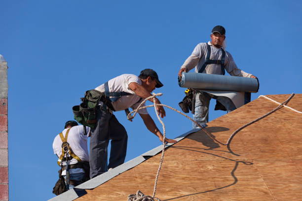 Best Flat Roof Repair Services  in Brownsville, LA